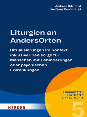 cover image of Liturgien an AndersOrten